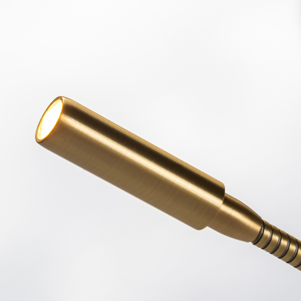 Spotlight Swan - 2 Spotlight Swan - 2