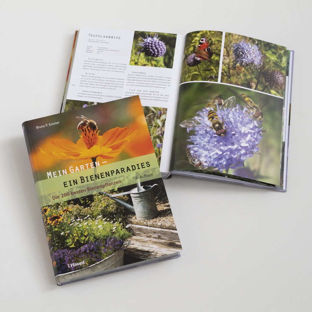 Buch: Mein Garten - Ein Bienenparadies Buch: Mein Garten - Ein Bienenparadies