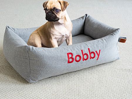 bobby-mit-hund
