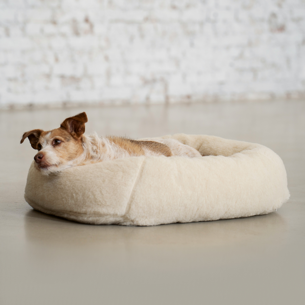 Hundebett Alpaka XS, 55 x 38 x 15cm - 2