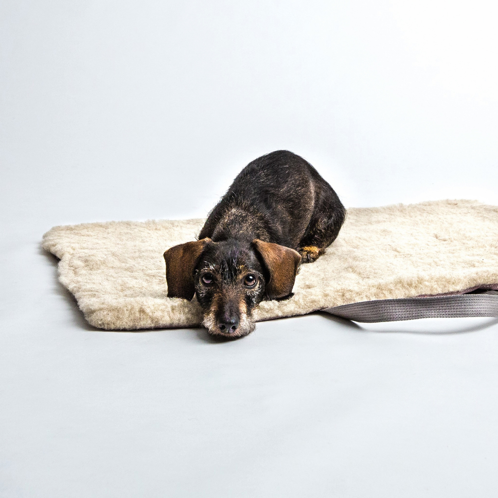 Cloud 7 Travel Bed - 3 Cloud 7 Travel Bed - 3