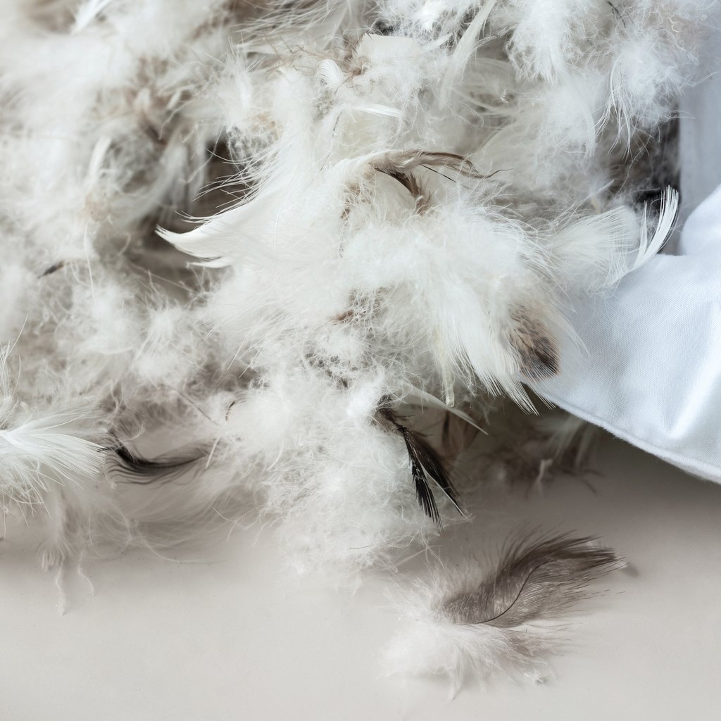 Dorma Vita x Torquato Kopfkissen 80 x 80 cm - 2 Dorma Vita x Torquato Kopfkissen 80 x 80 cm - 2