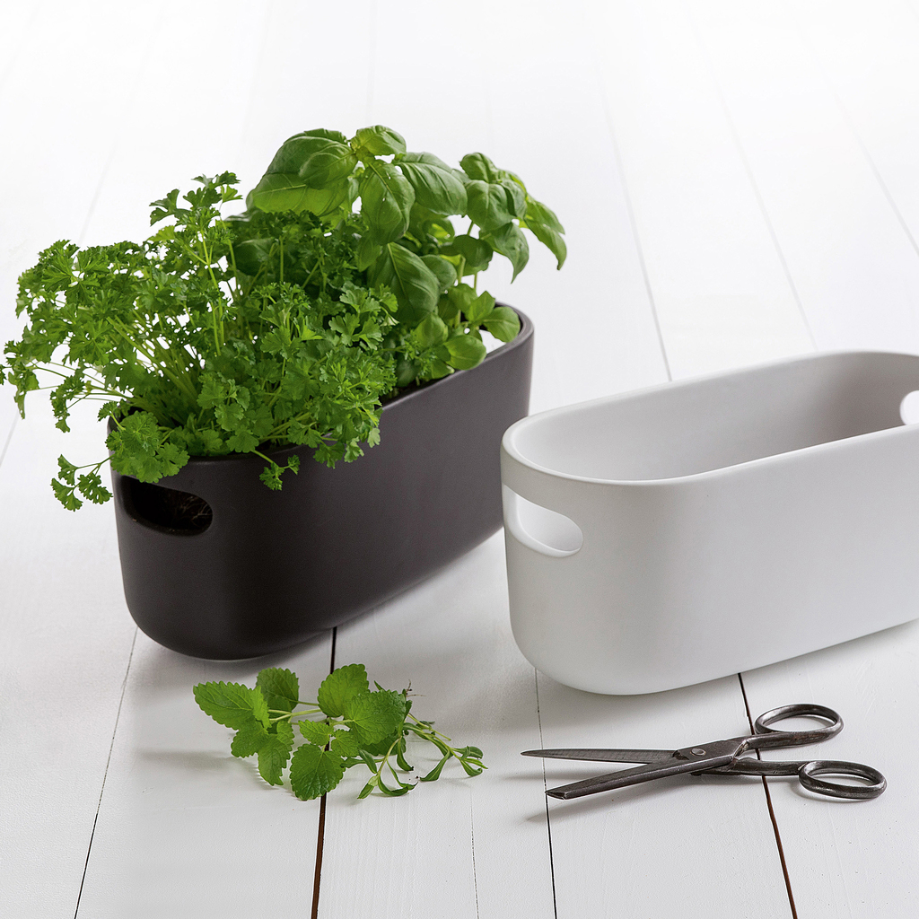 Herb Organiser weiß - 3