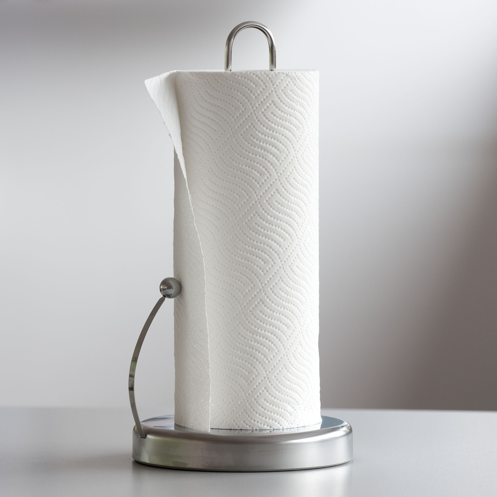 Papierrollenhalter mit Bremse
