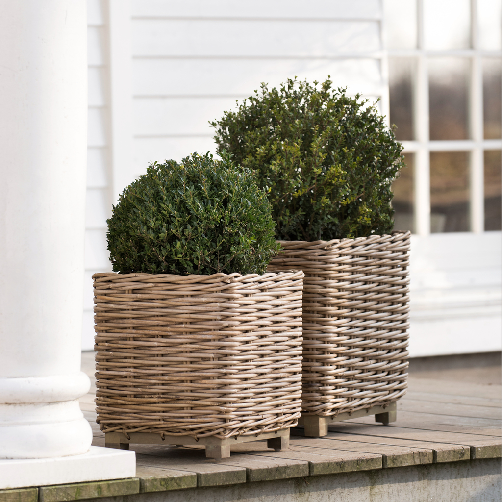 Rattan-Pflanzkörbe Rattan-Pflanzkörbe