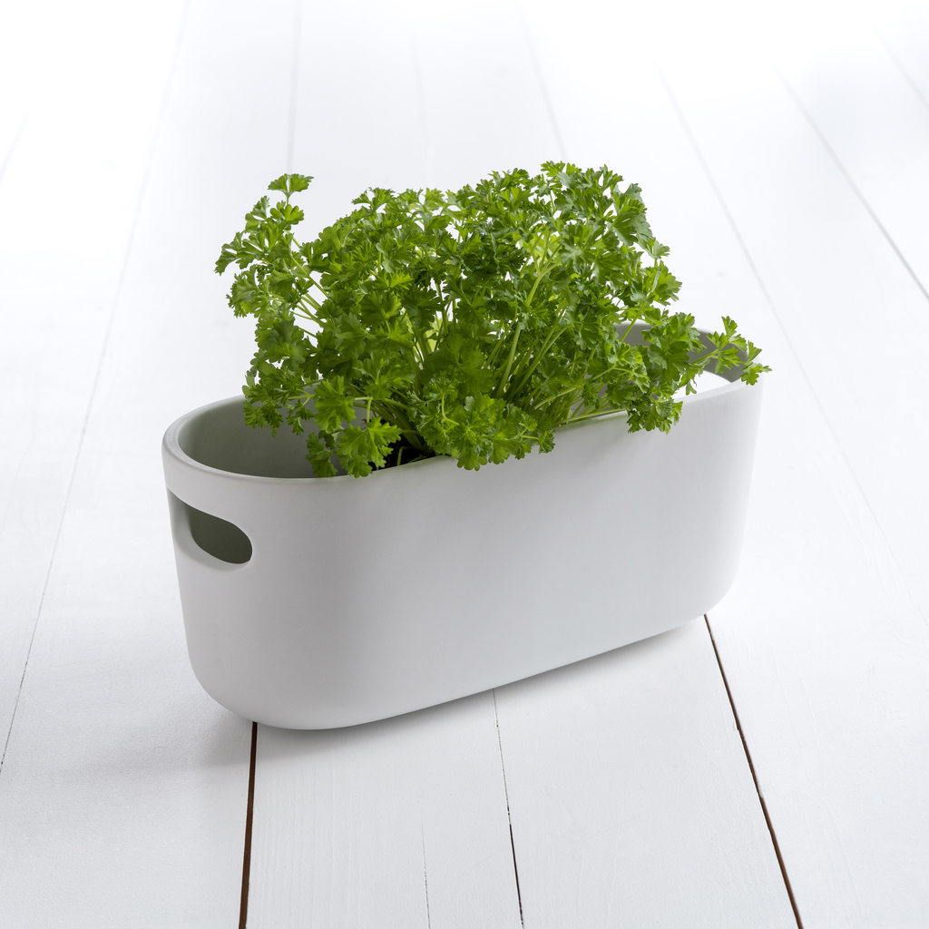 Herb Organiser weiß