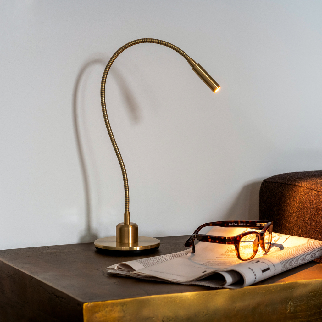 Spotlight Swan Spotlight Swan