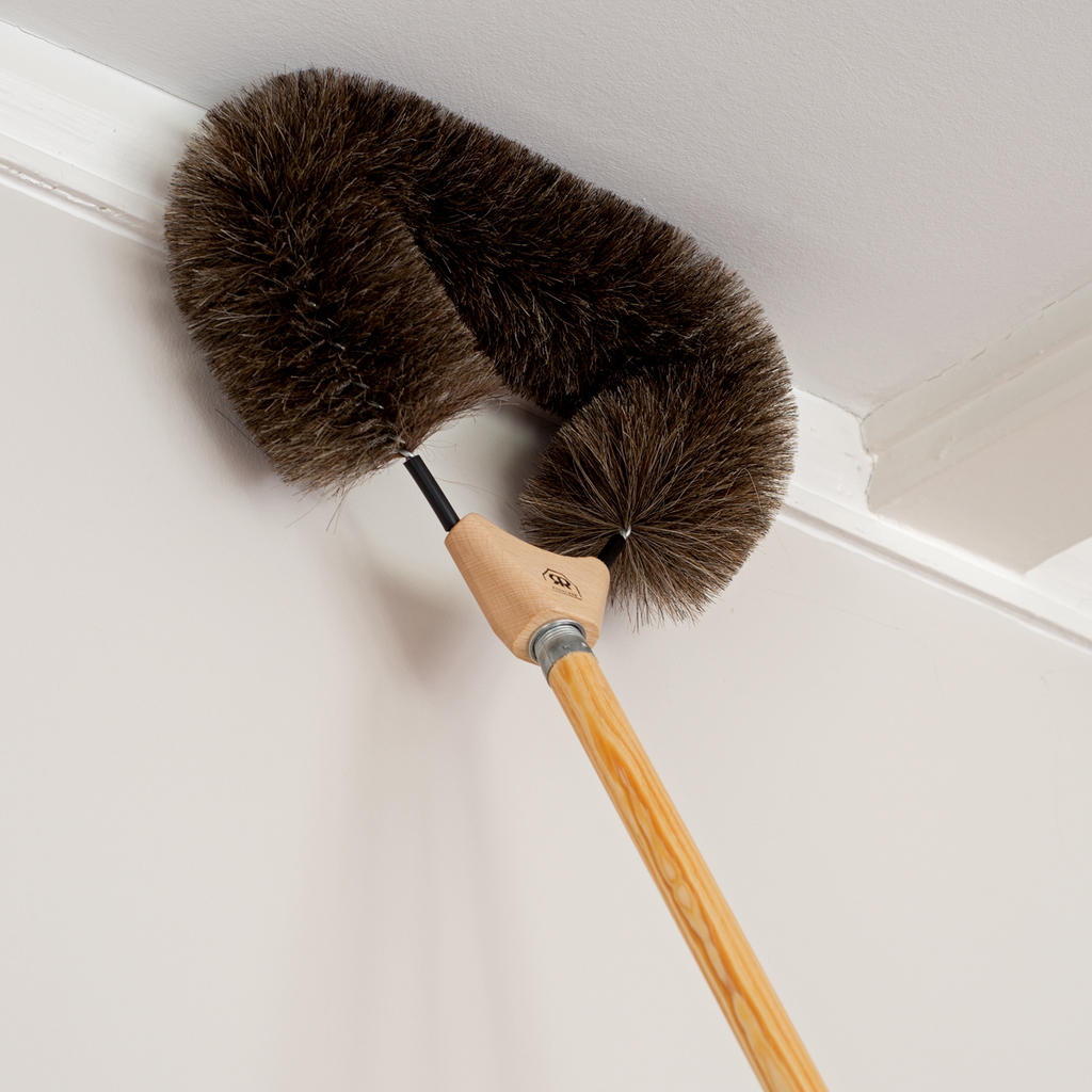 Spinnenbesen Spinnenbesen