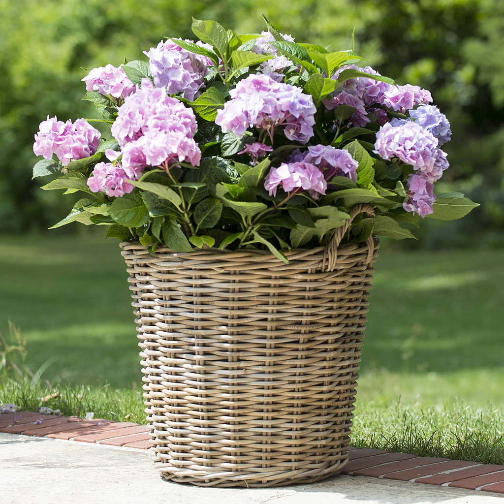 Rattankorb rund - 2 Rattankorb rund - 2