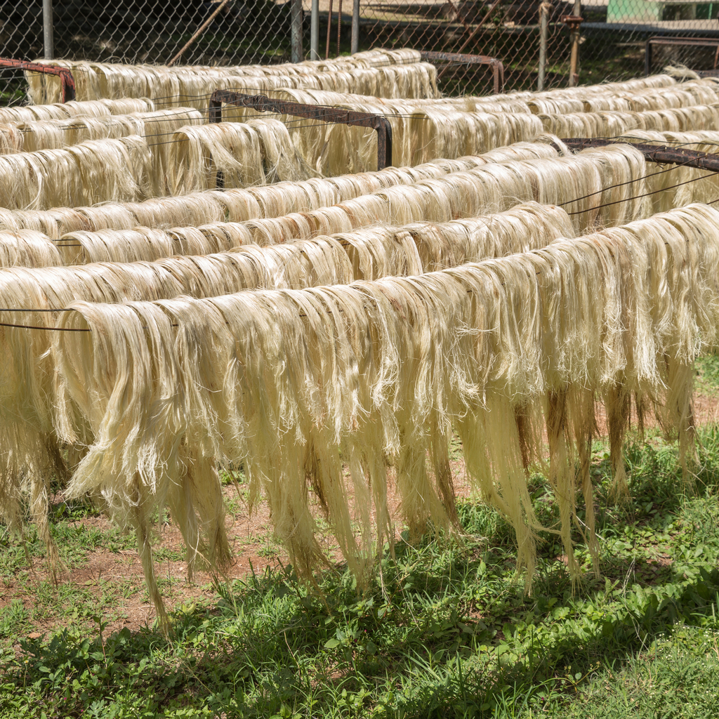 Sisalteppich Bouclé Khaki 275 x 365 cm - 5