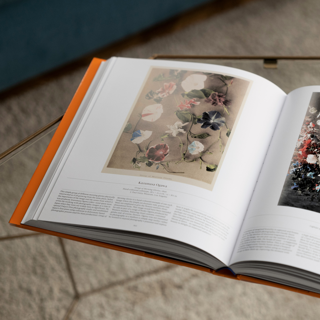 Flower - Exploring the World in Bloom - 3 Flower - Exploring the World in Bloom - 3