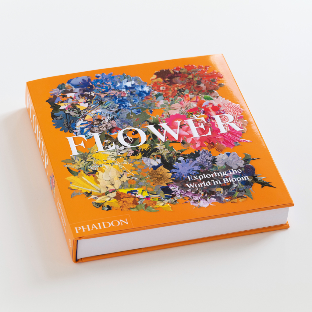 Flower - Exploring the World in Bloom - 2 Flower - Exploring the World in Bloom - 2