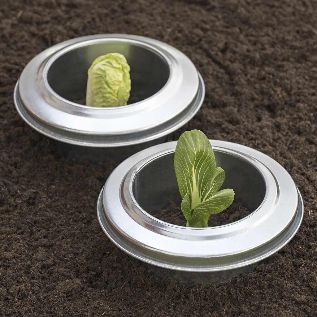 Schneckenringe aus Metall 2er-Set Schneckenringe aus Metall 2er-Set