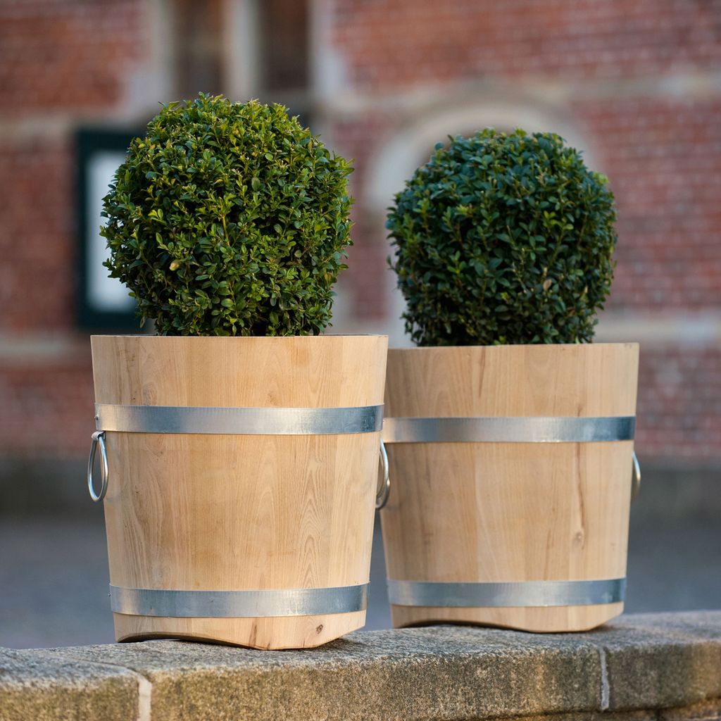 Küfer-Blumenkübel - 2 Küfer-Blumenkübel - 2