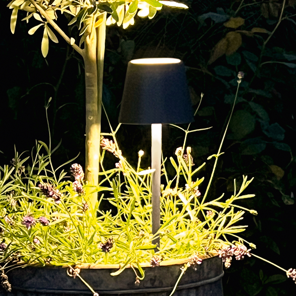 Poldina Steckleuchten - 2 Poldina Steckleuchten - 2