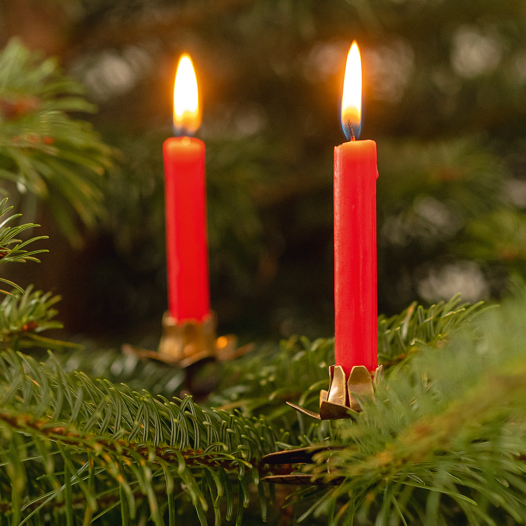5 Christbaum Kerzenhalter Lotusblüte - 3
