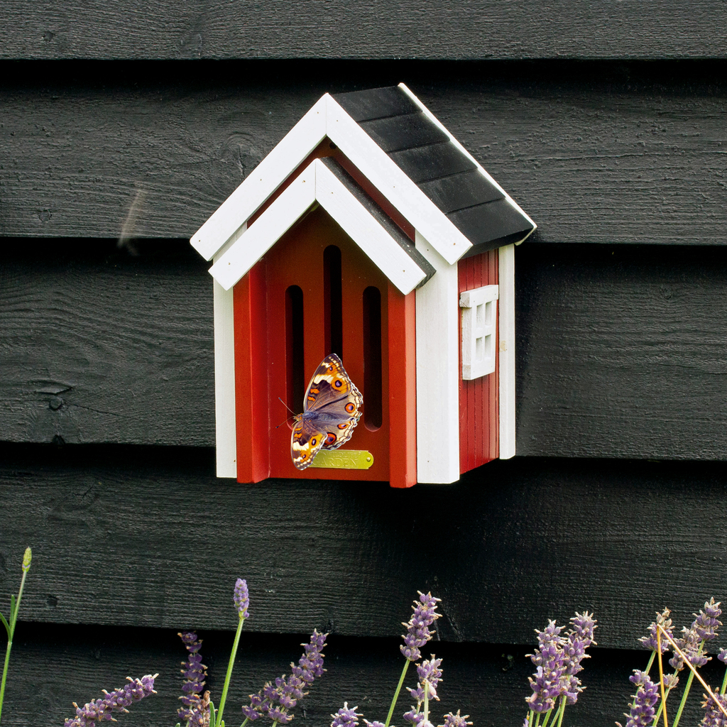 Schmetterlingskasten - 3 Schmetterlingskasten - 3