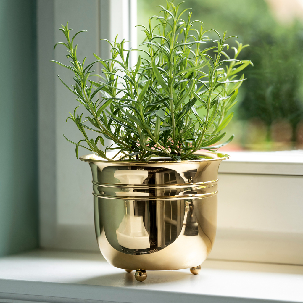 Pflanzenübertopf aus Messing - 2 Pflanzenübertopf aus Messing - 2