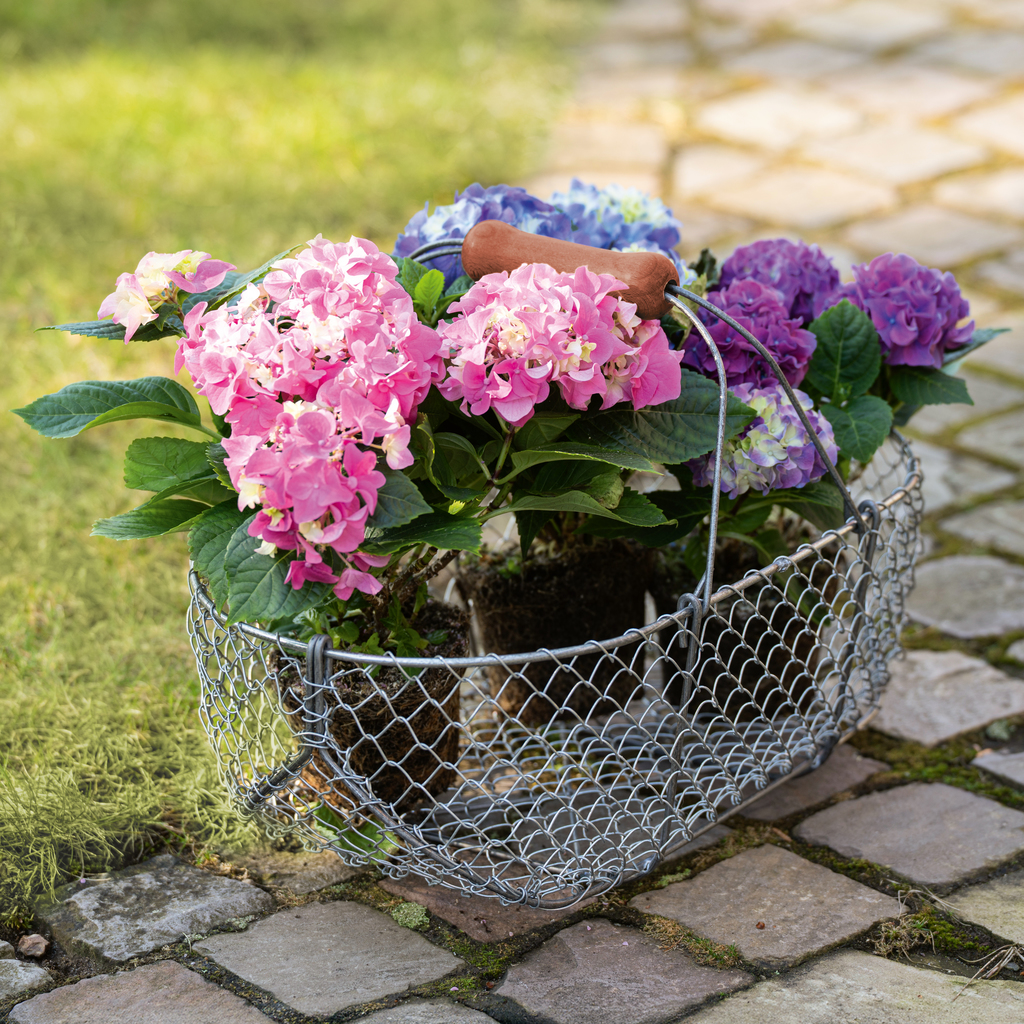 Atelier Aertgeerts X Torquato Gartenkorb - 2 Atelier Aertgeerts X Torquato Gartenkorb - 2