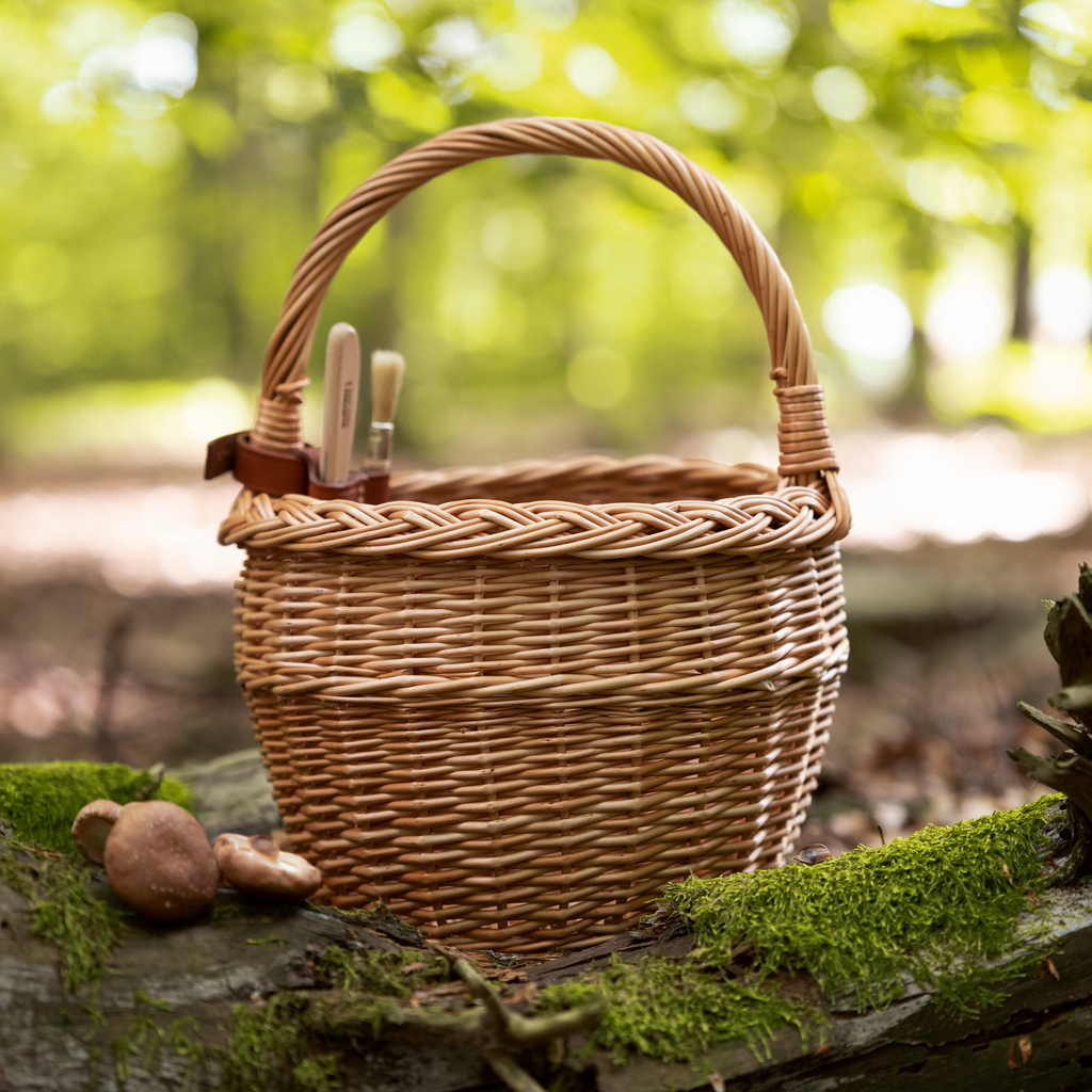 Pilzkorb - 5 Pilzkorb - 5