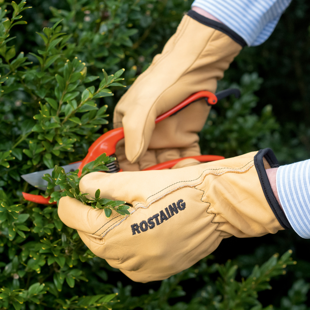 Garten-Handschuhe Leder - 4