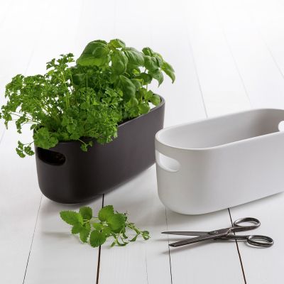 Herb Organiser