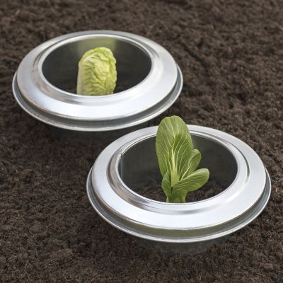 2er-Set Schneckenringe aus Metall