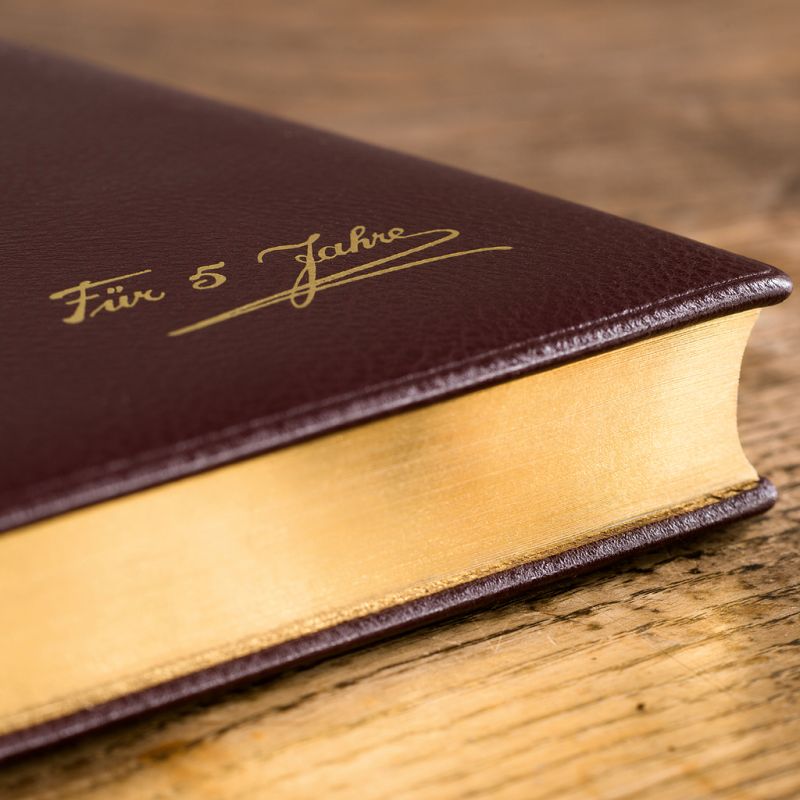 TeBe Fünfjahresbuch aus Leder - 2