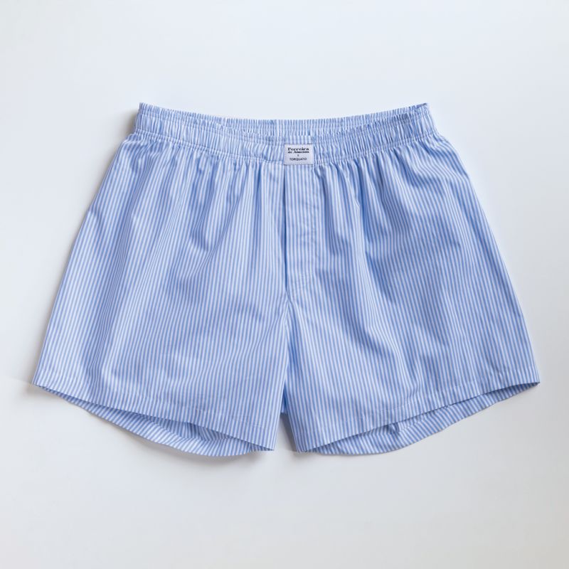 Ferreira de Almeida X Torquato Boxershorts Blau gestreift XL