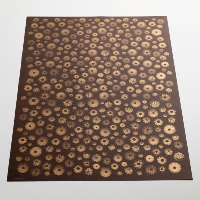 BETHGE Geschenkpapier Seeigel 50 x 70 cm (3 Bögen)