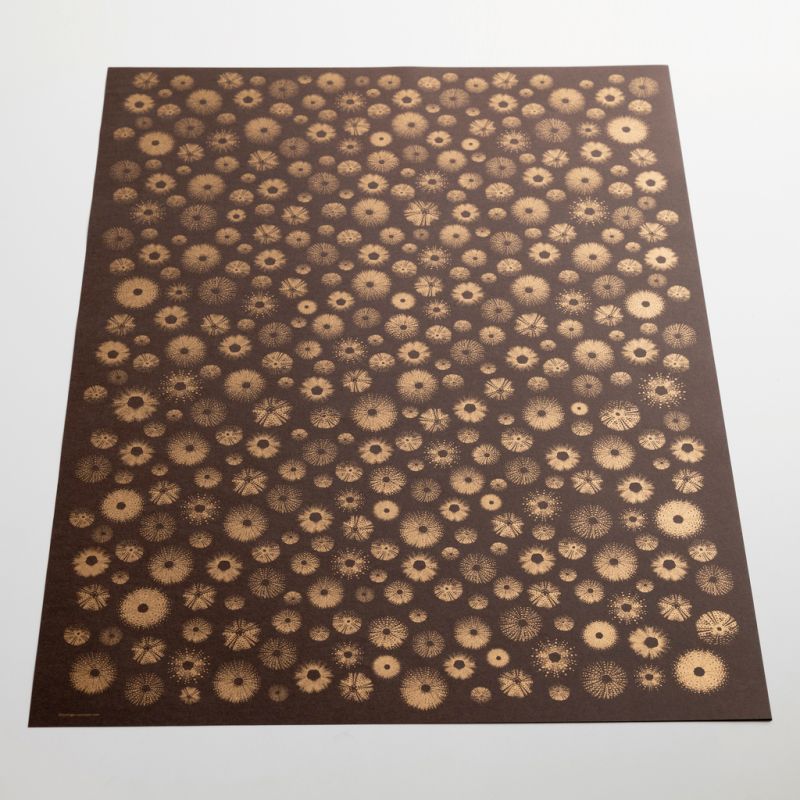 BETHGE Geschenkpapier Seeigel 50 x 70 cm (3 Bögen)