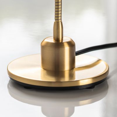 Spotlight Swan - 3